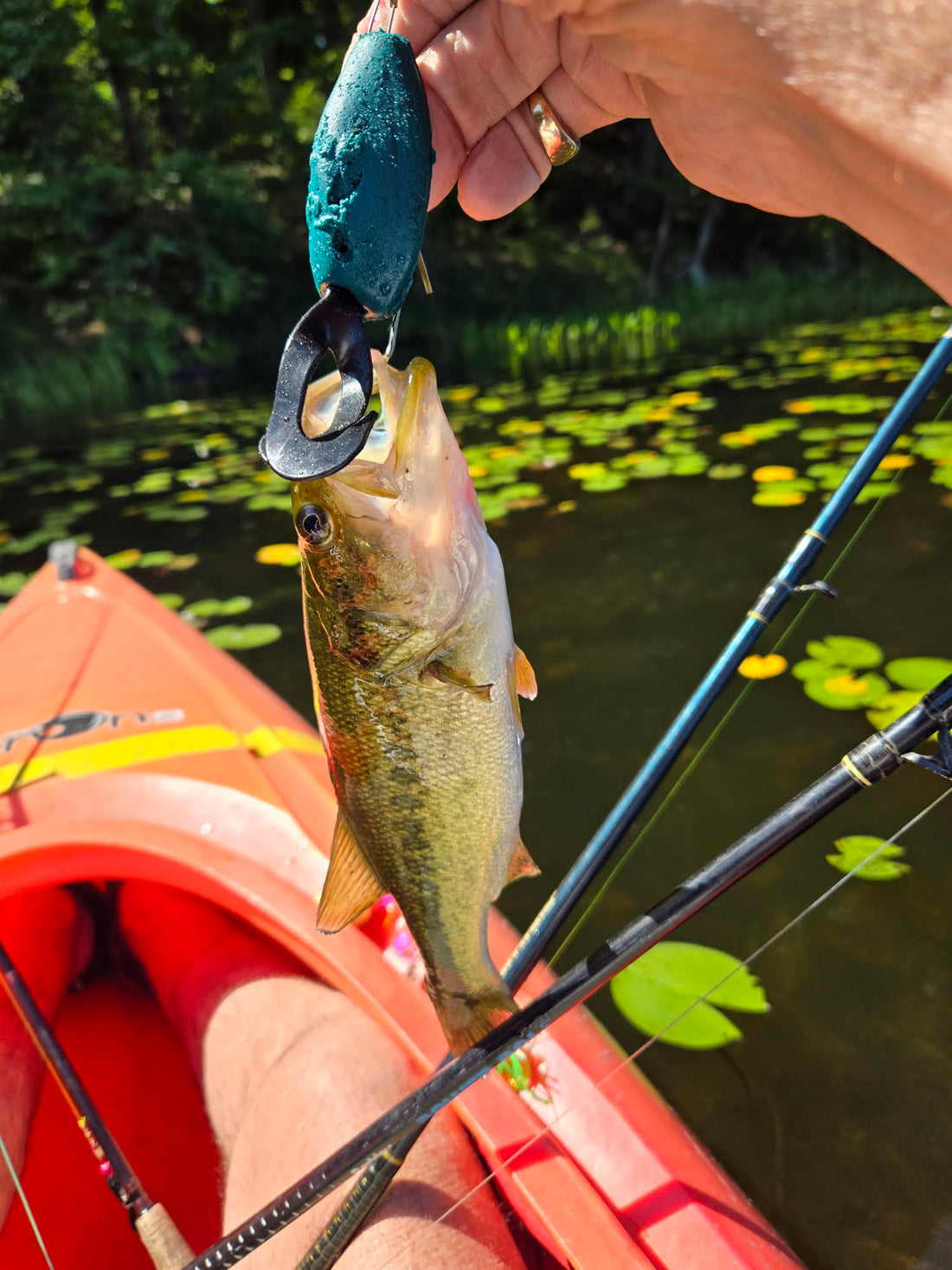 Why the Slop Frog is a Game-Changer for Pike Fishing